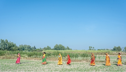 A GCF-backed project is restoring ecosystems in Nepal’s Churia region. Credit: FAO