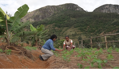 The "Sustainable Landscapes in Eastern Madagascar" is implemented by Conservational International in partnership with the government of Madagascar. Credit: GCF / Little Big Films